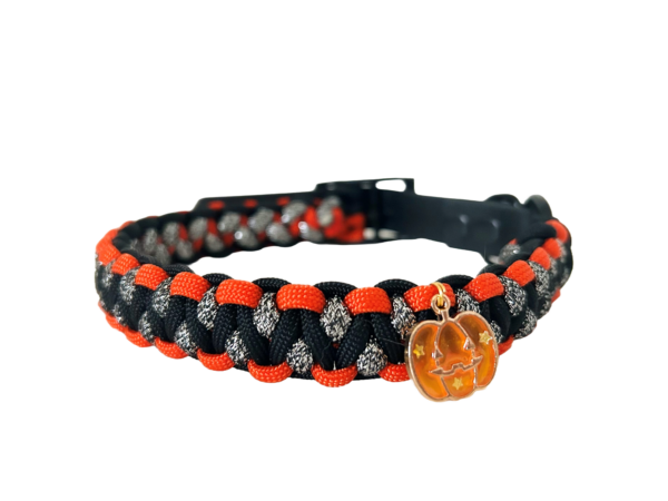 Halloween halsband hond pompoen