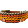 Honden halsband herfst eekhoorn