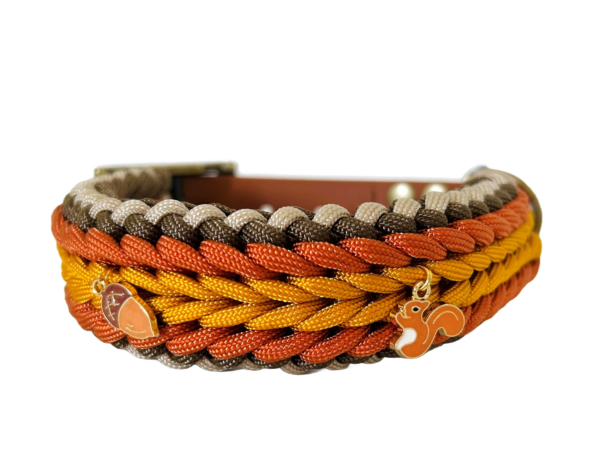 Honden halsband herfst eekhoorn