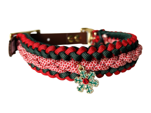 Halsband kerst hond